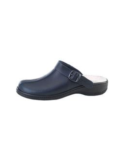 Sabot Basic Economic