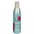 Beliflor BAIN CAPILLAIRE EQUILIBRANT- CHEVEUX  COLORES 200ml