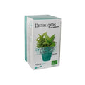 Destination INFUSION MENTHE POIVREE (20X1,6g)