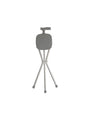 Canne siège pliable