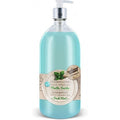 LES PETITS BAINS DE PROVENCE  Shampoing doux 2 en 1 Menthe Fraîche 1L