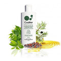 CADITAR SHAMPOOING Séborrhéique ANTIPELLICULE 150ML - Parapharmacie en Ligne