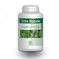 GPH DIFFUSION ORTIE RACINE 200 GELULES - Parapharmacie en Ligne