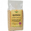 Quinoa sans étui 500g